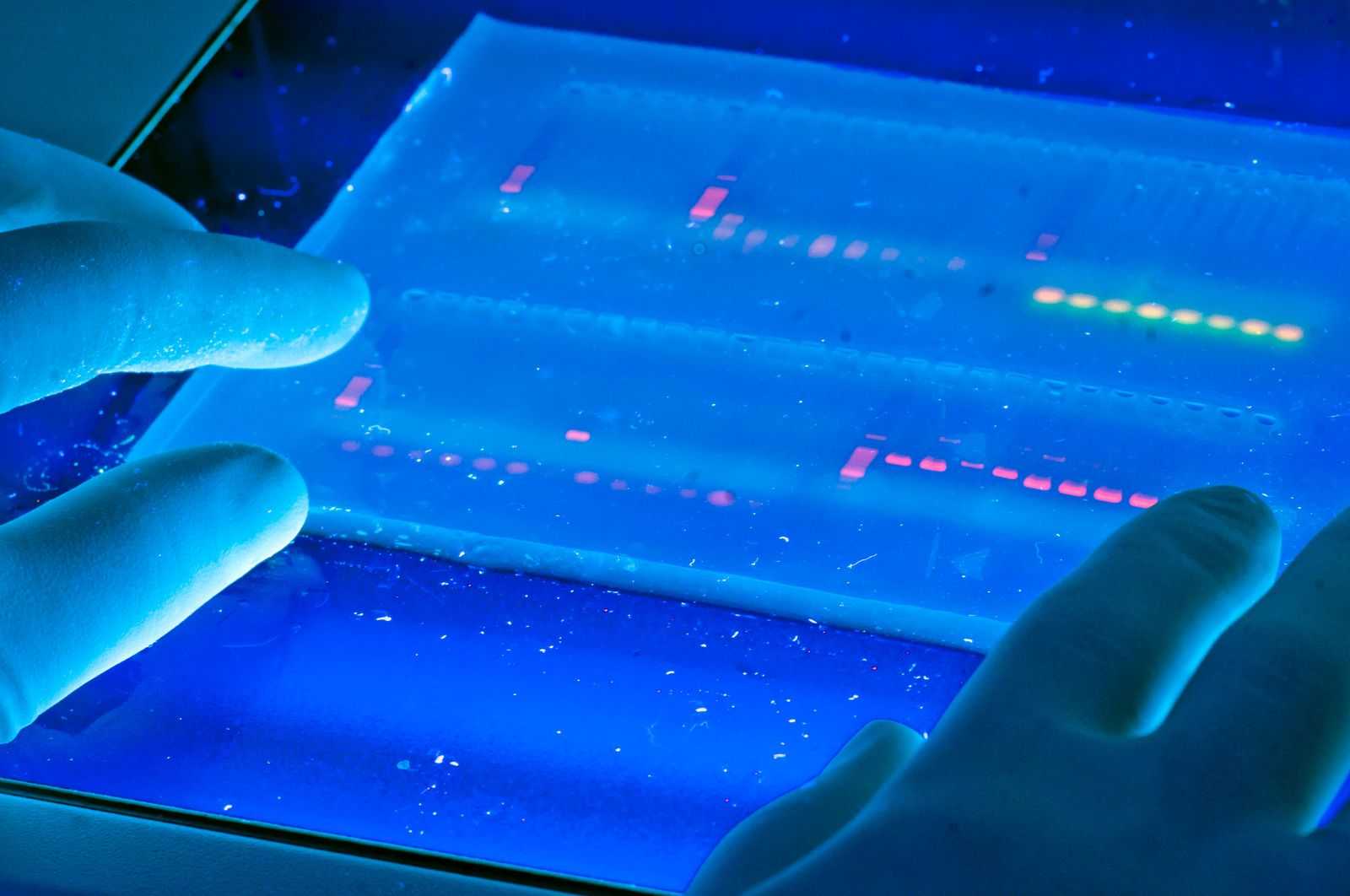 Hands in gloves seemingly working on DNA sequencing.